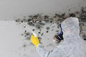 Best Emergency Mold Remediation  in Myrtle Grove, NC